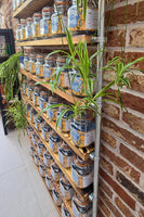 side view of kitchen shelf kilner mason jar pantry shelving industrial style on brick wall background