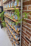 side view of kitchen shelf kilner mason jar pantry shelving industrial style on brick wall background