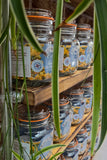 closeup with green plants kitchen shelf kilner mason jar pantry shelving industrial style on brick wall background